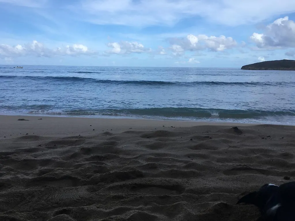 阿雷西博Las Olas Beach House公寓 公寓
