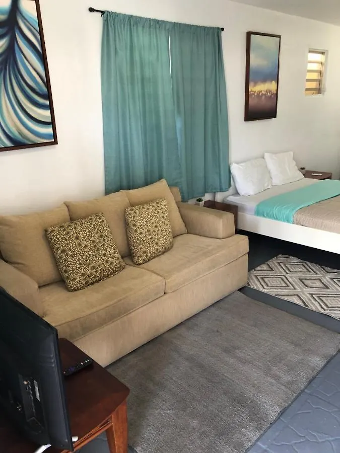 阿雷西博Las Olas Beach House公寓 公寓